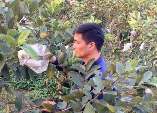 Lệ Rơi sau 10 năm gây bão mạng: Sống bình lặng làm nông dân, U40 ôm gối ngủ chờ tình yêu tới- Ảnh 6. Lệ Rơi sau 10 năm gây bão mạng: Sống bình lặng làm nông dân, U40 ôm gối ngủ chờ tình yêu tới- Ảnh 6.