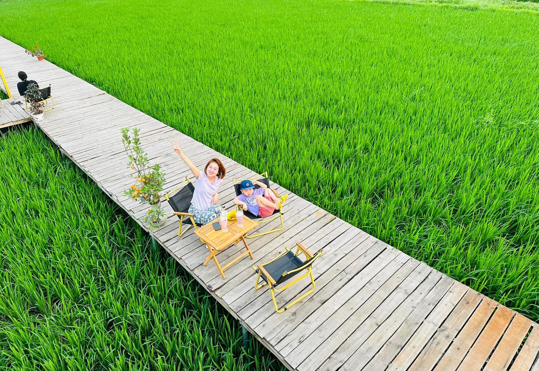 Phát hiện quán cà phê ruộng lúa cực mới, cực chill ngay ở Hà Nội, cách trung tâm chưa đến 30km- Ảnh 3.