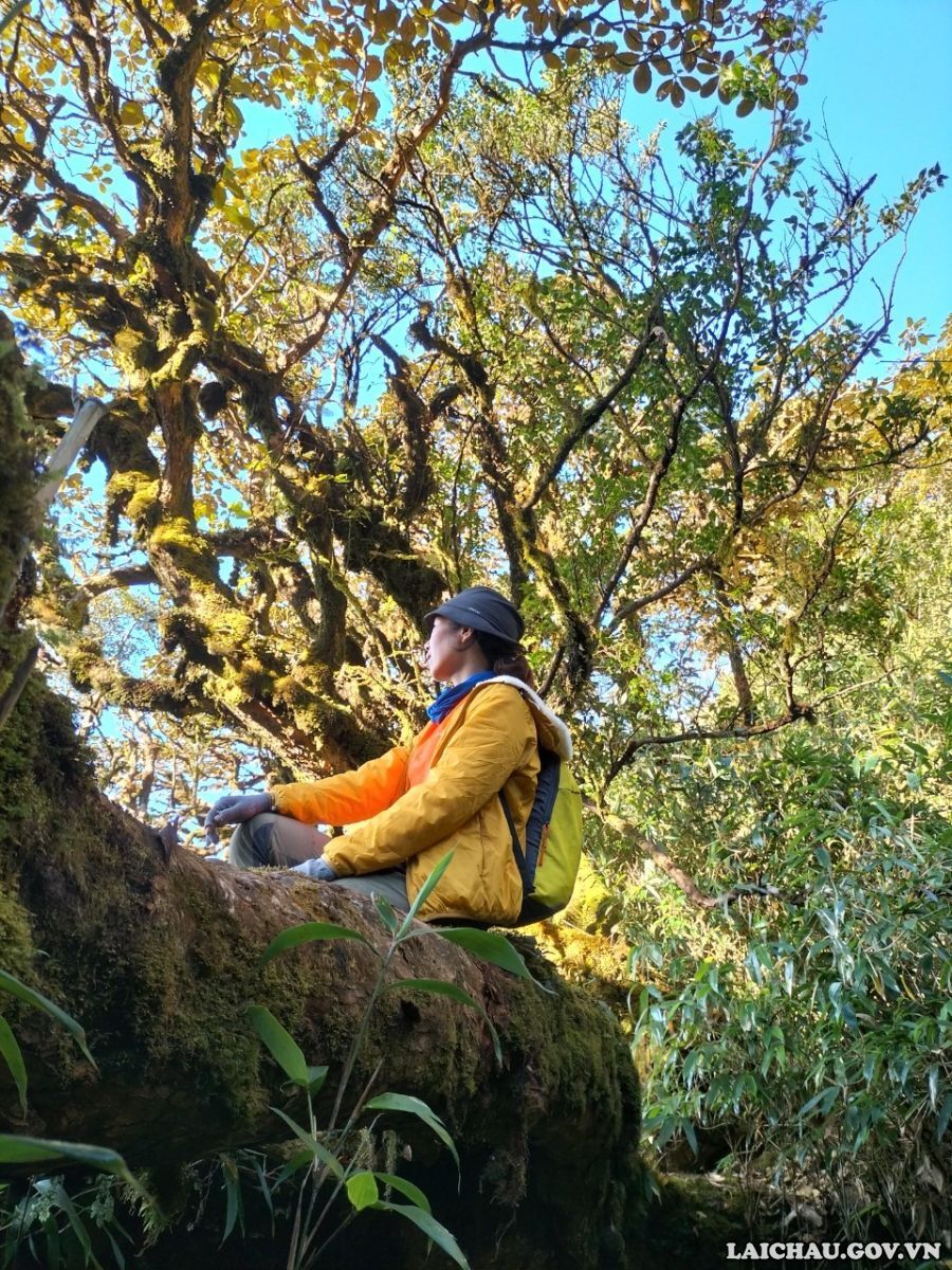 Phát hiện điểm được nhắc trong Phát hiện điểm được nhắc trong