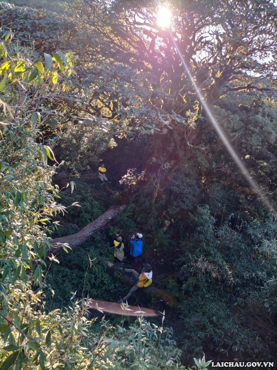 Phát hiện điểm được nhắc trong Phát hiện điểm được nhắc trong