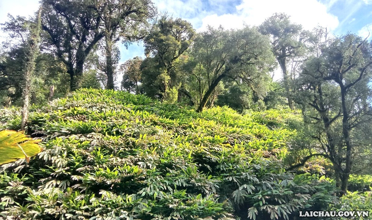 Phát hiện điểm được nhắc trong Phát hiện điểm được nhắc trong