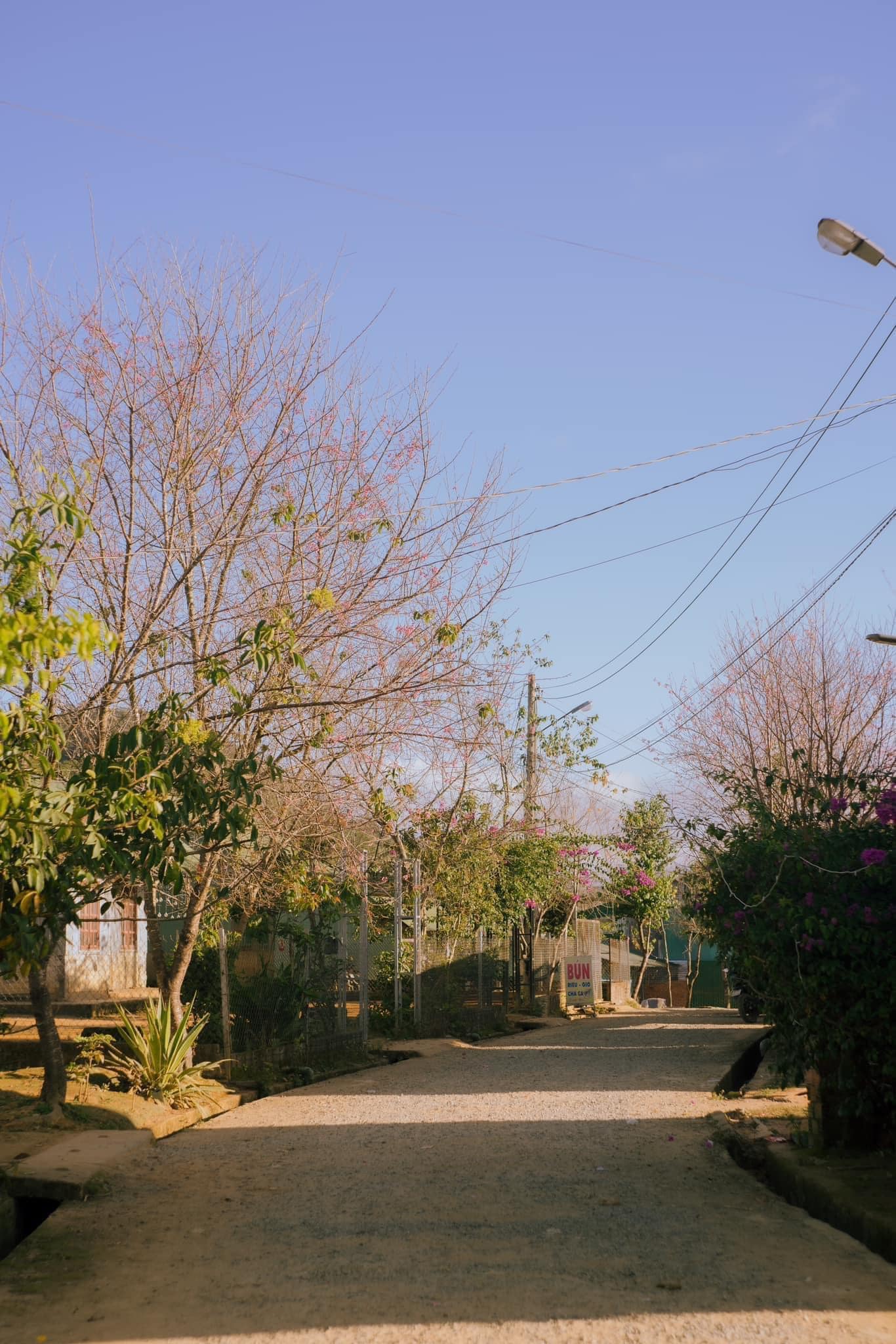 Phát hiện ngôi làng ẩn mình trong sương, là bối cảnh phim của nhà sản xuất Việt nghìn tỷ, ngay gần Đà Lạt- Ảnh 9. Phát hiện ngôi làng ẩn mình trong sương, là bối cảnh phim của nhà sản xuất Việt nghìn tỷ, ngay gần Đà Lạt- Ảnh 9.