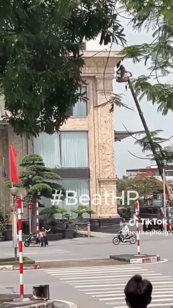 Khách sạn ở Hải Phòng phá tổ ong, hai mẹ con đang đi đường bị đốt gần 100 nốt khắp người- Ảnh 2. Khách sạn ở Hải Phòng phá tổ ong, hai mẹ con đang đi đường bị đốt gần 100 nốt khắp người- Ảnh 2.