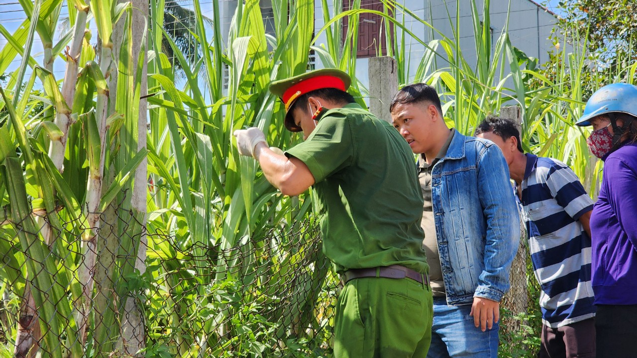 Hiện trường vụ thảm án ở Quảng Ngãi: Giết cả nhà họ hàng vì mâu thuẫn đất đai- Ảnh 6.