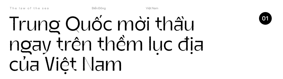 Mối duyên với luật sư Mỹ và hành trình pháp lý của Việt Nam làm thất bại hợp đồng xâm phạm bãi Tư Chính- Ảnh 1.