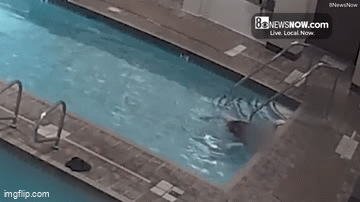 Người phụ nữ xuống bể bơi, 20 phút sau thì tử vong, camera bóc khoảnh khắc ám ảnh đến khó hiểu- Ảnh 2. Người phụ nữ xuống bể bơi, 20 phút sau thì tử vong, camera bóc khoảnh khắc ám ảnh đến khó hiểu- Ảnh 2.