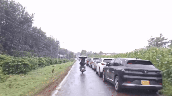 Ô tô nối hàng dài, du khách lại đổ về Gia Lai xem ông Thích Minh Tuệ khất thực: Tiết lộ điều bất ngờ- Ảnh 1. Ô tô nối hàng dài, du khách lại đổ về Gia Lai xem ông Thích Minh Tuệ khất thực: Tiết lộ điều bất ngờ- Ảnh 1.