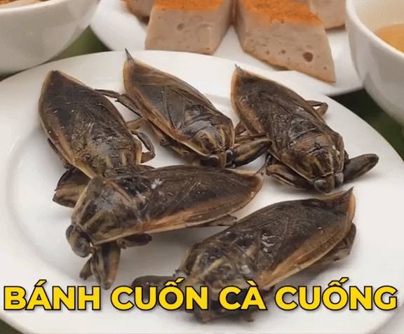 Món bánh cuốn có cả côn trùng của người Việt: Ai không quen nhìn chẳng dám ăn, nghe giá mới bất ngờ- Ảnh 6. Món bánh cuốn có cả côn trùng của người Việt: Ai không quen nhìn chẳng dám ăn, nghe giá mới bất ngờ- Ảnh 6.