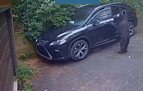 Ô tô không có ai nhưng bỗng hú còi inh ỏi, chủ xe vừa ra kiểm tra thì hét lớn rồi vội bỏ chạy- Ảnh 3. Ô tô không có ai nhưng bỗng hú còi inh ỏi, chủ xe vừa ra kiểm tra thì hét lớn rồi vội bỏ chạy- Ảnh 3.