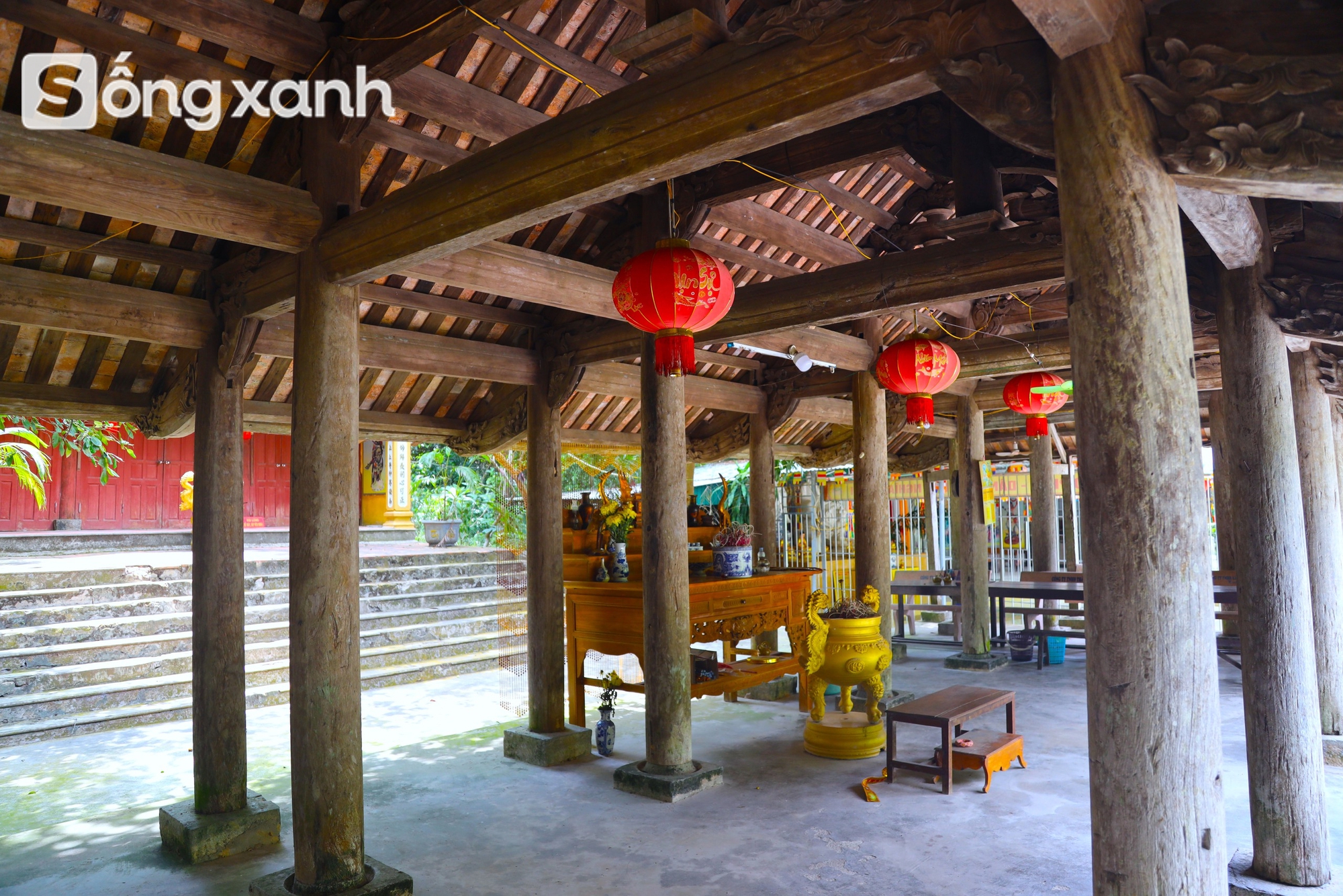 Bí mật về điều cấm kị chưa từng có để giữ "báu vật" hàng trăm năm tuổi ở khu rừng hiếm bậc nhất Việt Nam- Ảnh 4. Bí mật về điều cấm kị chưa từng có để giữ "báu vật" hàng trăm năm tuổi ở khu rừng hiếm bậc nhất Việt Nam - Ảnh 4.