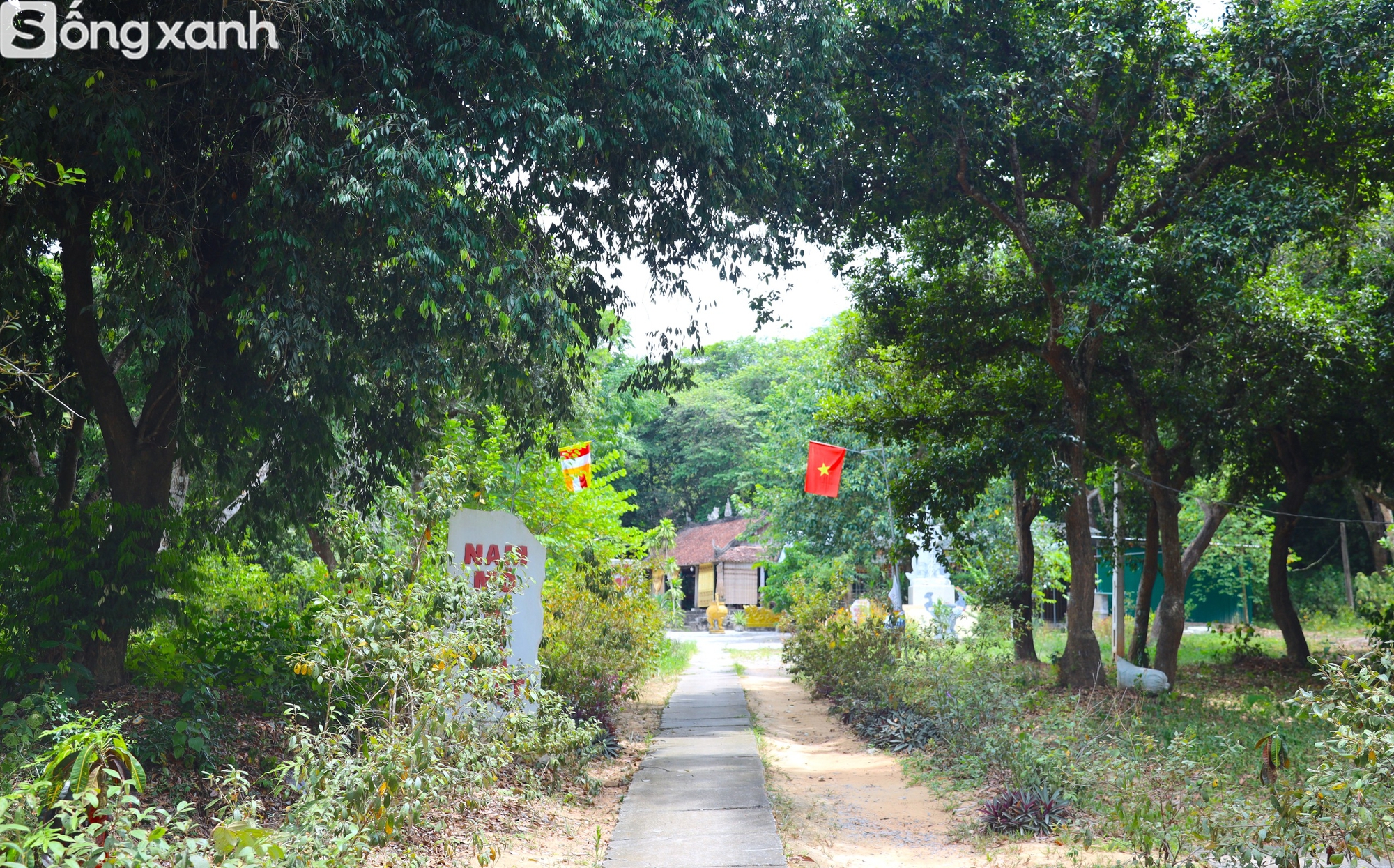 Bí mật về điều cấm kị chưa từng có để giữ "báu vật" hàng trăm năm tuổi ở khu rừng hiếm bậc nhất Việt Nam- Ảnh 5. Bí mật về điều cấm kị chưa từng có để giữ "báu vật" hàng trăm năm tuổi ở khu rừng hiếm bậc nhất Việt Nam - Ảnh 5.