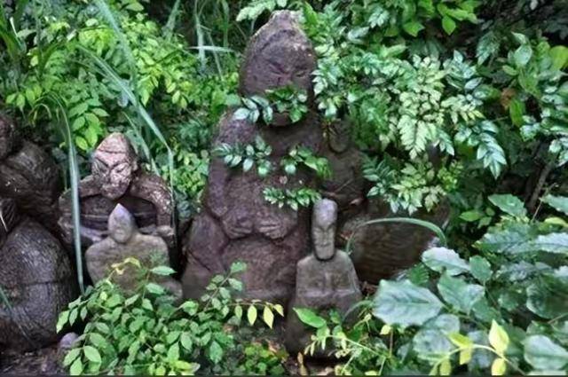 Người nông dân nhìn thấy cảnh tượng kỳ dị khi đang đốn củi, các chuyên gia đề nghị phong tỏa toàn vùng, cấm báo đài đưa tin: Phát hiện sau đó gây ngỡ ngàng- Ảnh 2. Người nông dân nhìn thấy cảnh tượng kỳ dị khi đang đốn củi, các chuyên gia đề nghị phong tỏa toàn vùng, cấm báo đài đưa tin: Phát hiện sau đó gây ngỡ ngàng- Ảnh 2.