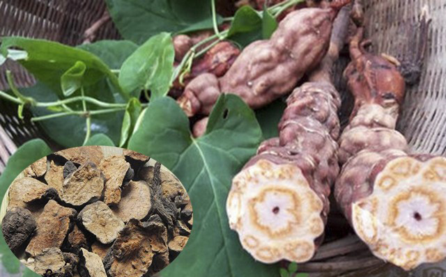 photo-1699926770317 photo-1699926770317