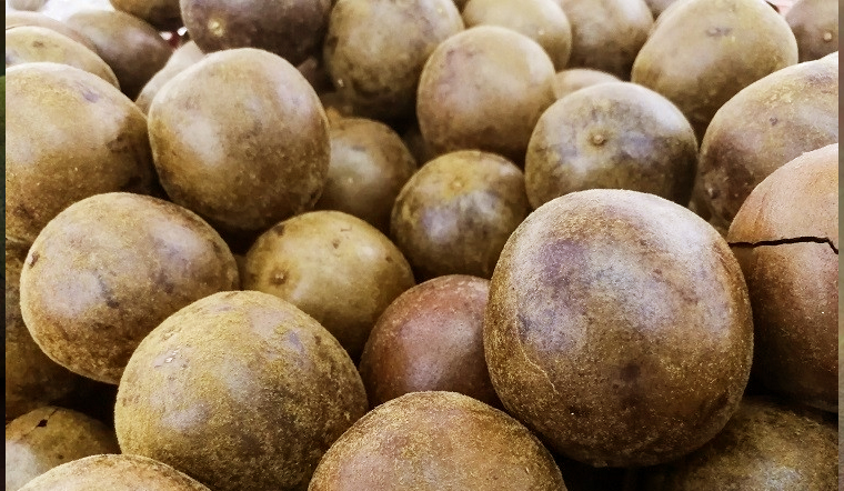 photo-1700193899094 photo-1700193899094