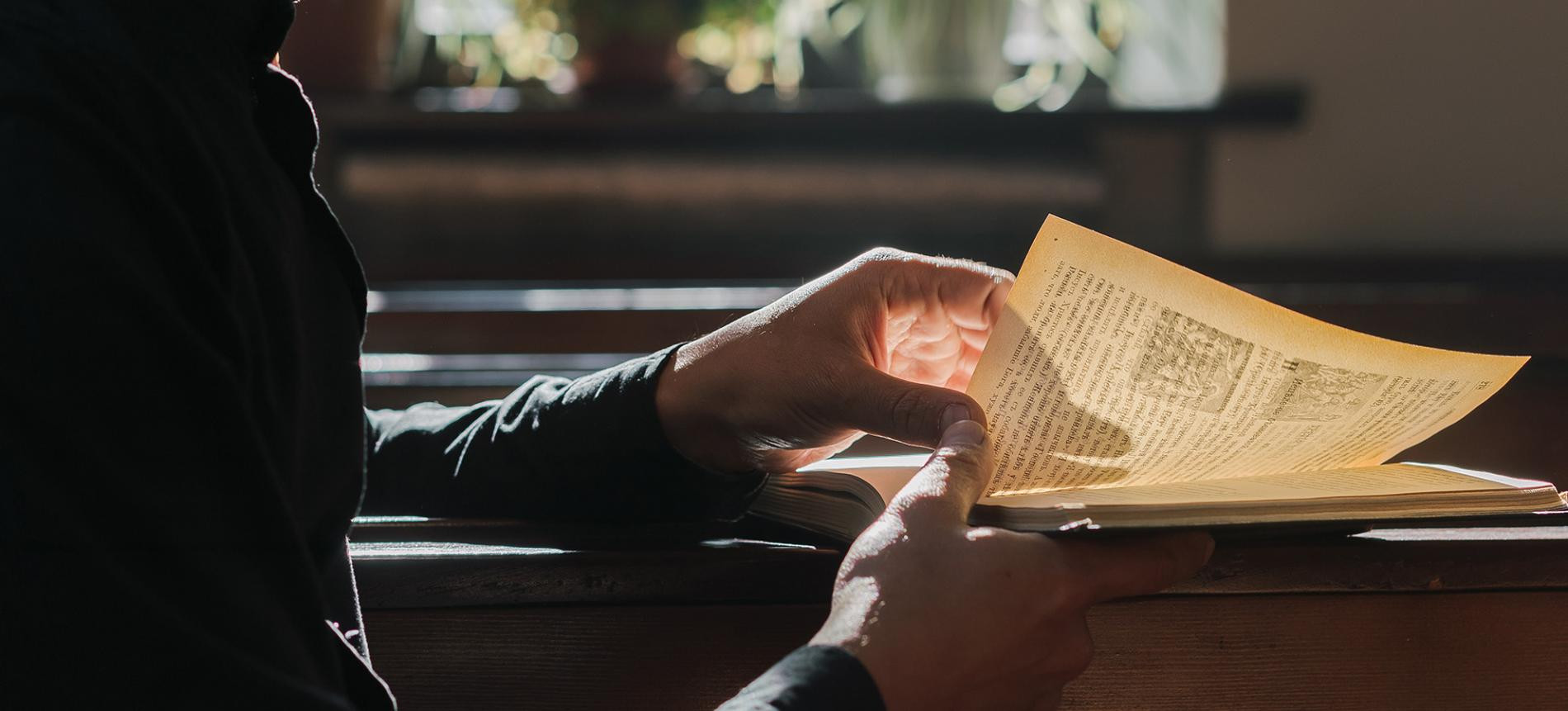 photo-1700323810321 photo-1700323810321