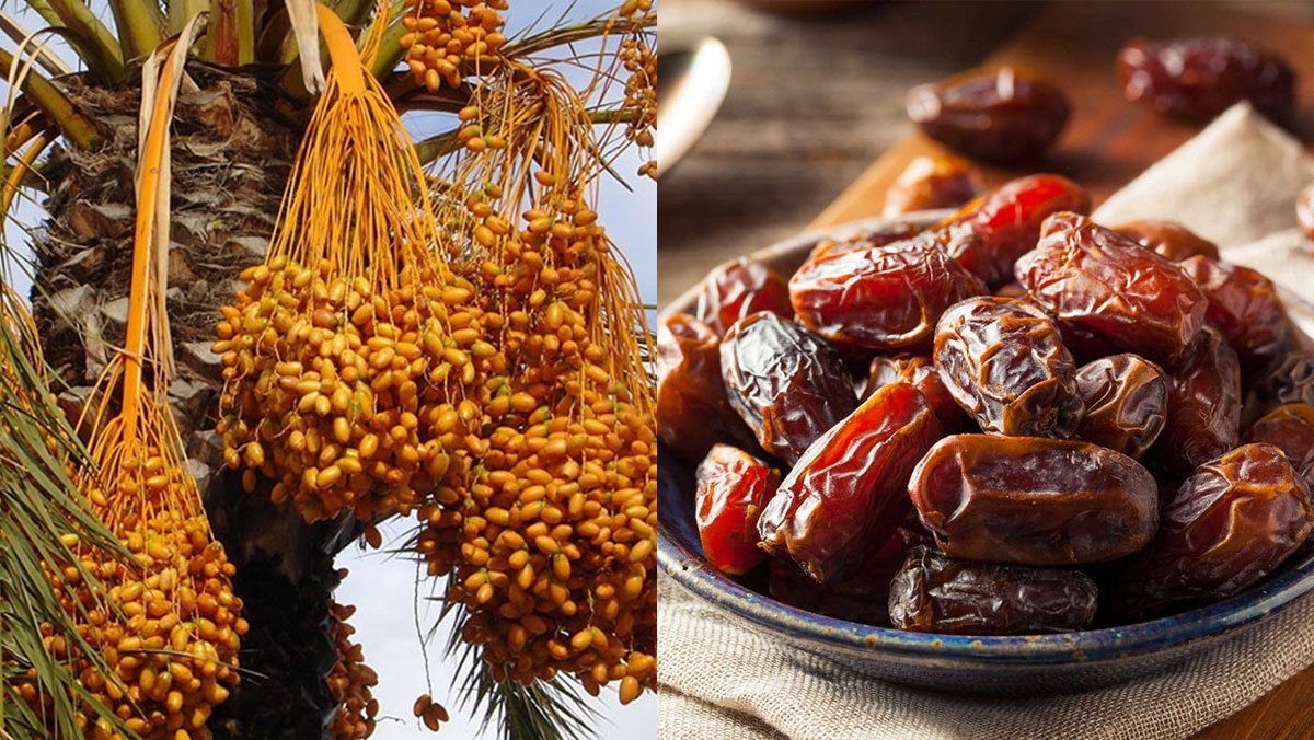 photo-1700342153056 photo-1700342153056