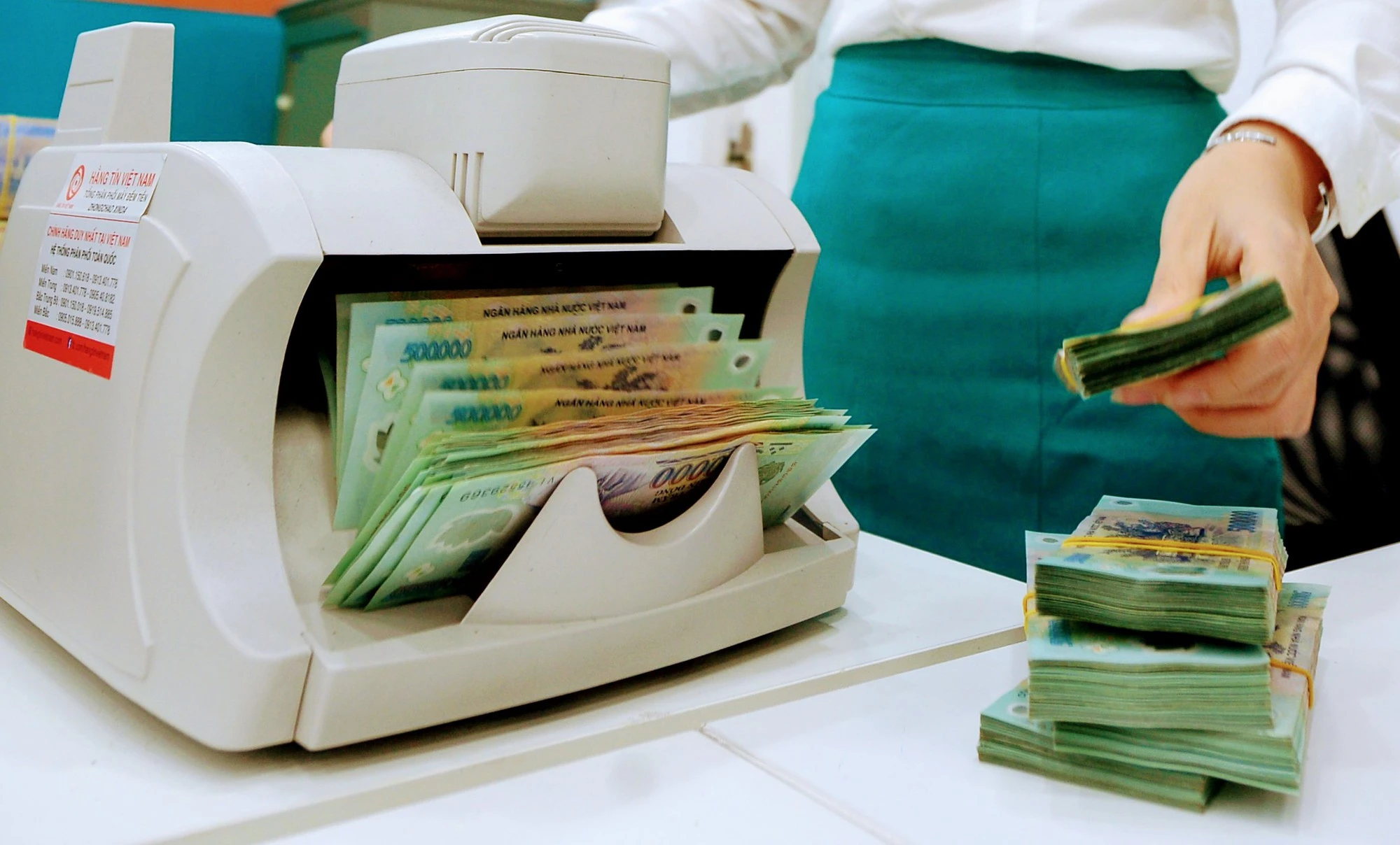 photo-1702260728190 photo-1702260728190