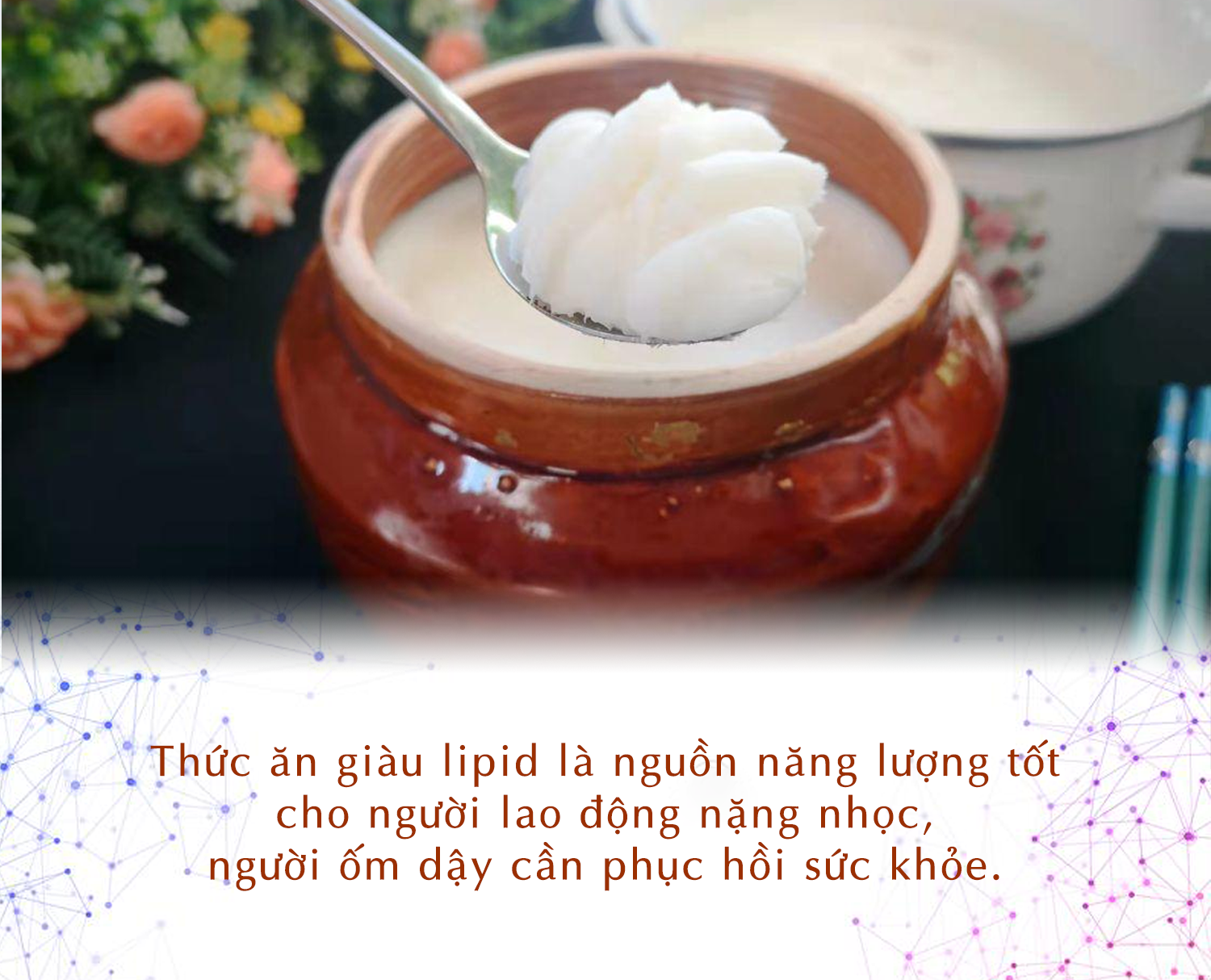 photo-1702524001355 photo-1702524001355