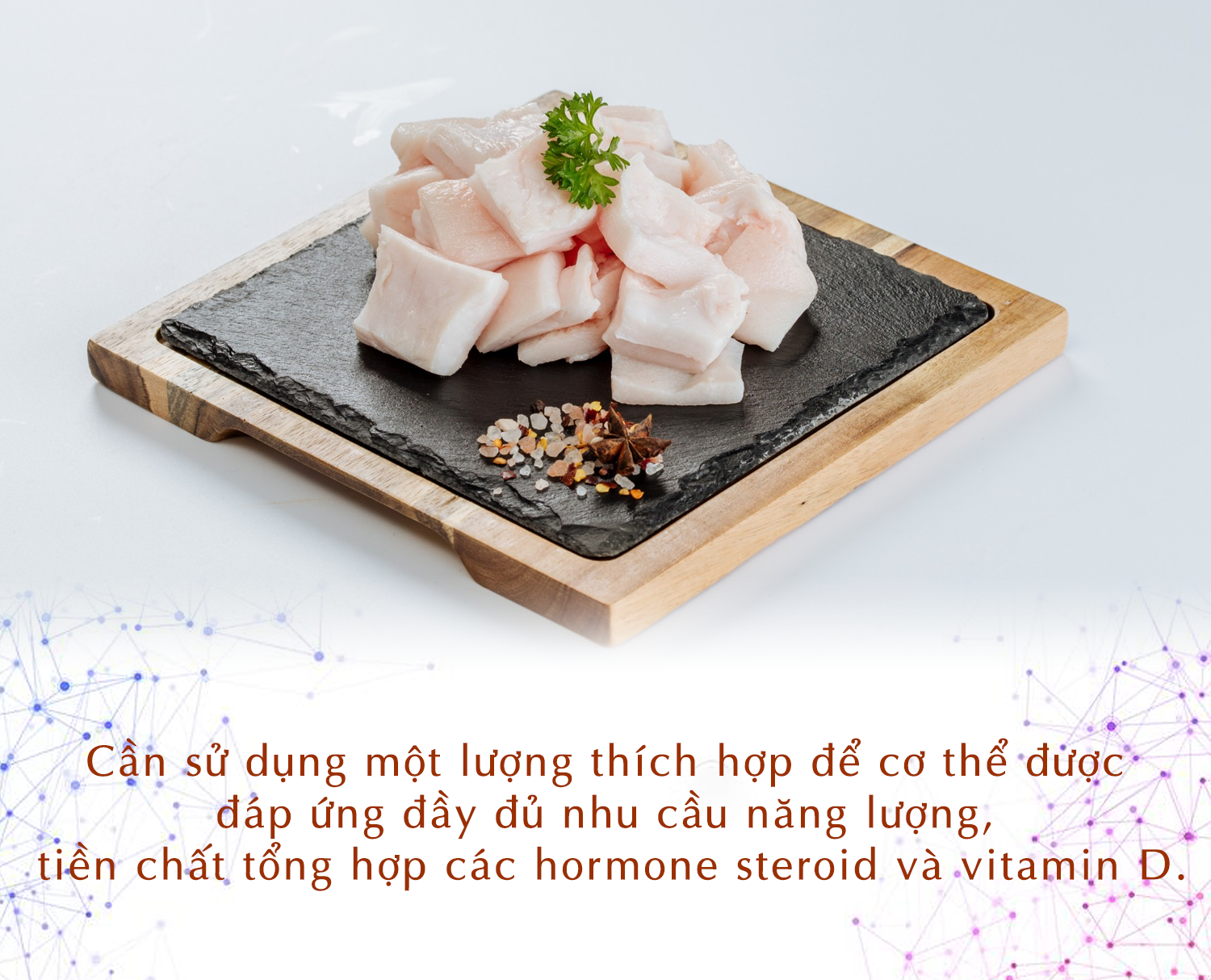 photo-1702524005064 photo-1702524005064