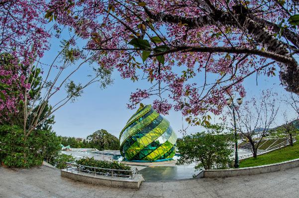 photo-1701665885314 photo-1701665885314