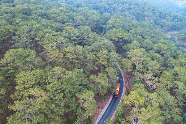 photo-1701665887135 photo-1701665887135