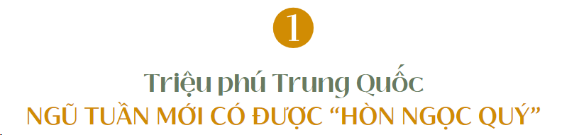 photo-1702010532942 photo-1702010532942