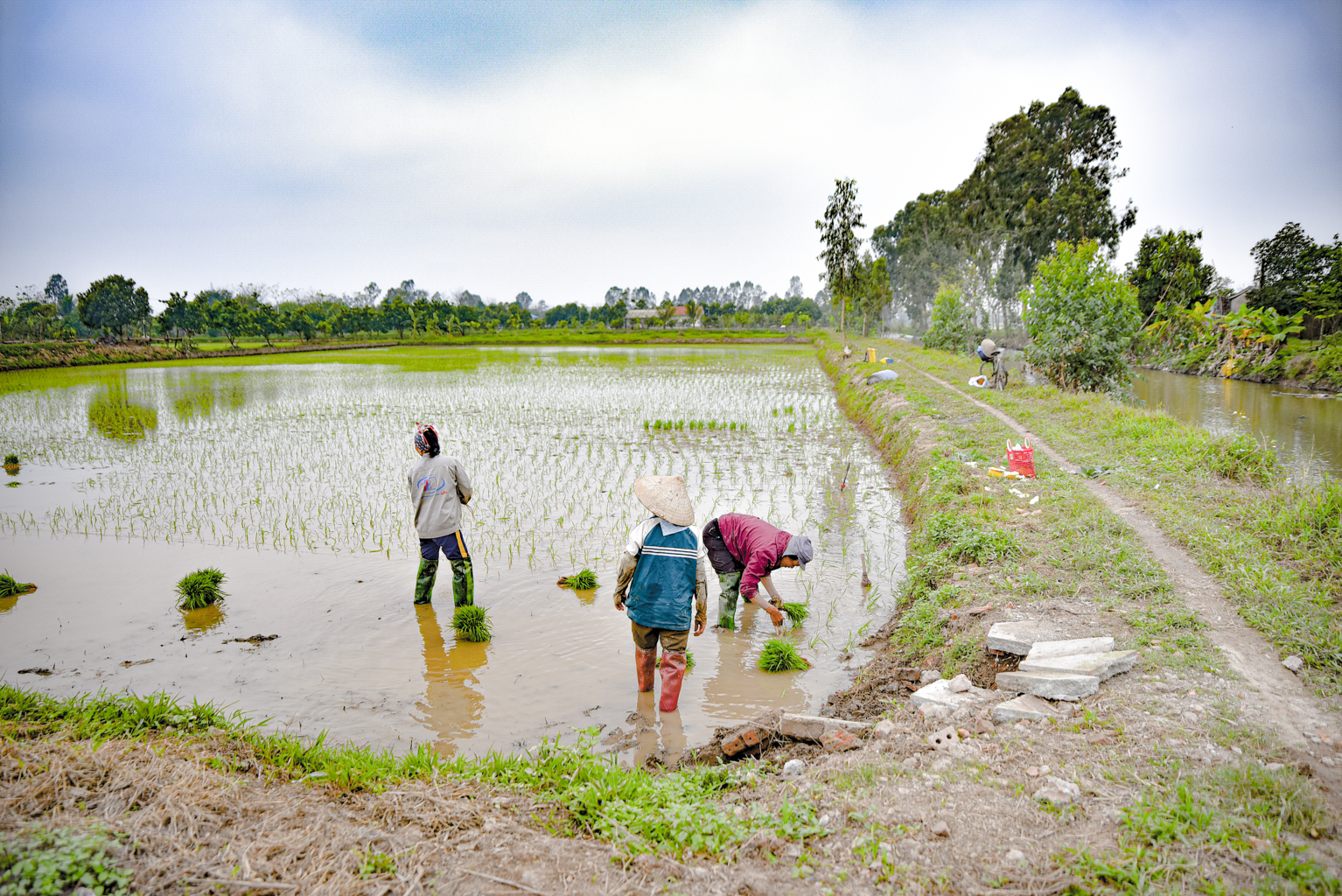 Dự án khu công nghệ cao rộng hơn cả quận Hoàn Kiếm, sẽ là “thỏi nam châm” hút các dự án trí tuệ nhân tạo, điện tử bán dẫn ở ngay gần Hà Nội- Ảnh 8. Dự án khu công nghệ cao rộng hơn cả quận Hoàn Kiếm, sẽ là “thỏi nam châm” hút các dự án trí tuệ nhân tạo, điện tử bán dẫn ở ngay gần Hà Nội- Ảnh 8.