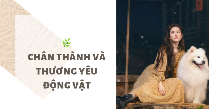 Áp dụng liên tục 5 điều này, Lưu Diệc Phi dù sắp 40 tuổi vẫn xứng danh “thần tiên tỷ tỷ”: 20 năm chưa ai thay thế được- Ảnh 5.