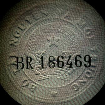 photo-1710298612362 photo-1710298612362