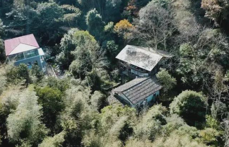 Chán phố thị, tăng ca 22h đêm không hết việc, 6 thanh niên bỏ việc lương cao lên núi dựng Chán phố thị, tăng ca 22h đêm không hết việc, 6 thanh niên bỏ việc lương cao lên núi dựng