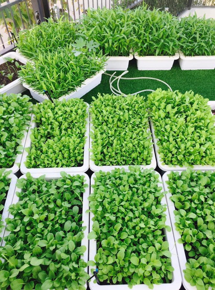 Tiểu thư Hà thành sinh 4 con cho đại gia điện ảnh U60, sống giản dị trong biệt thự bề thế ở TP.HCM, thu nhập vài trăm tỷ/năm- Ảnh 15.
