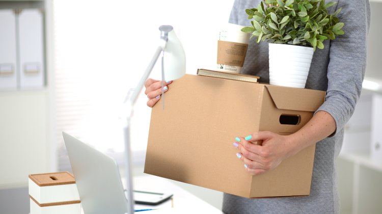 31 tuổi, tôi bị sa thải chỉ vì 1 sai sót nhỏ, trước khi nghỉ đã âm thầm làm 1 việc: Hôm sau sếp gọi điện mời quay lại- Ảnh 1. 31 tuổi, tôi bị sa thải chỉ vì 1 sai sót nhỏ, trước khi nghỉ đã âm thầm làm 1 việc: Hôm sau sếp gọi điện mời quay lại- Ảnh 1.