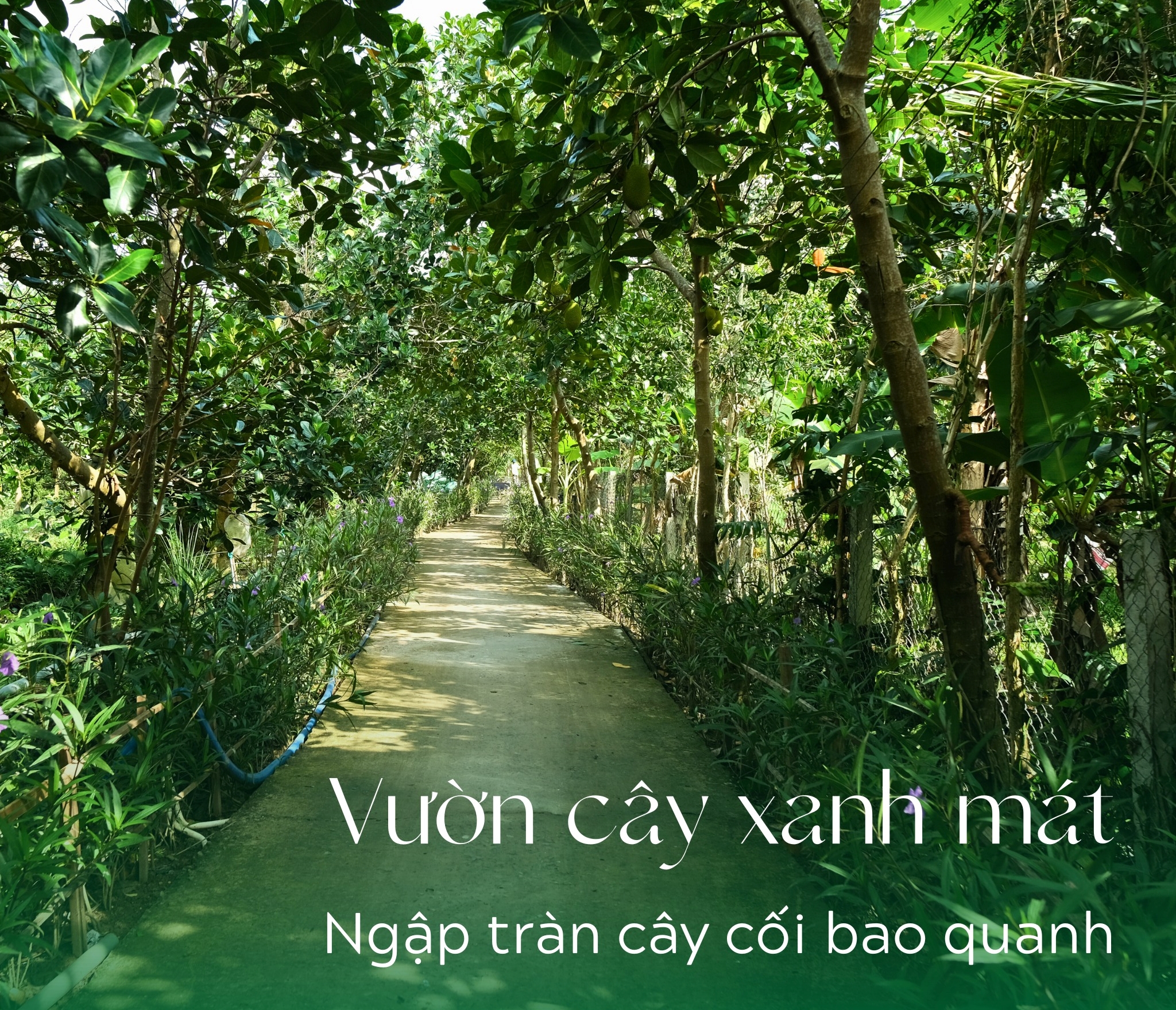 Resort sinh thái 50.000m2 của nữ diễn viên nổi tiếng là Resort sinh thái 50.000m2 của nữ diễn viên nổi tiếng là