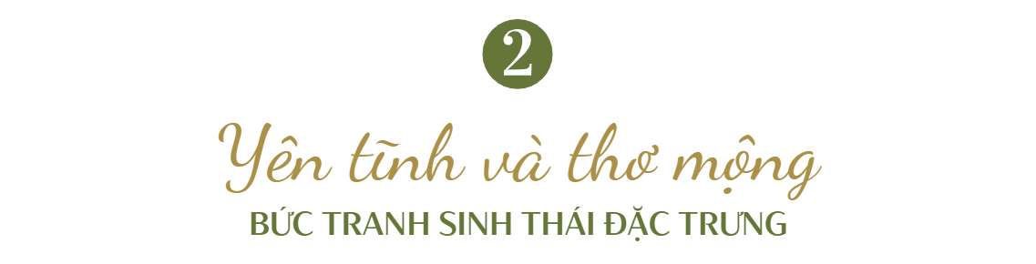 Resort sinh thái 50.000m2 của nữ diễn viên nổi tiếng là 