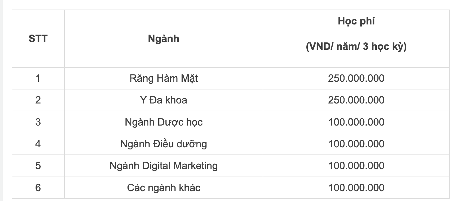 1 trường ĐH đầu tư 700 tỷ đồng xây cơ sở vật chất, sinh viên được “du học tại chỗ”, thực tập tại khách sạn, bệnh viện giả lập ngay trong trường- Ảnh 11.