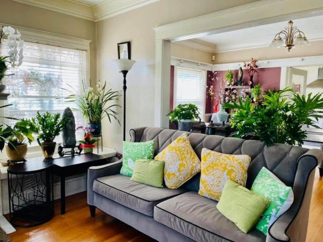 Nữ nghệ sĩ tậu 3 căn biệt thự triệu đô ở Mỹ, từng bị chồng cũ lừa 7 tỷ rồi bỏ trốn, U50 một mình nuôi 2 con- Ảnh 6. Nữ nghệ sĩ tậu 3 căn biệt thự triệu đô ở Mỹ, từng bị chồng cũ lừa 7 tỷ rồi bỏ trốn, U50 một mình nuôi 2 con- Ảnh 6.