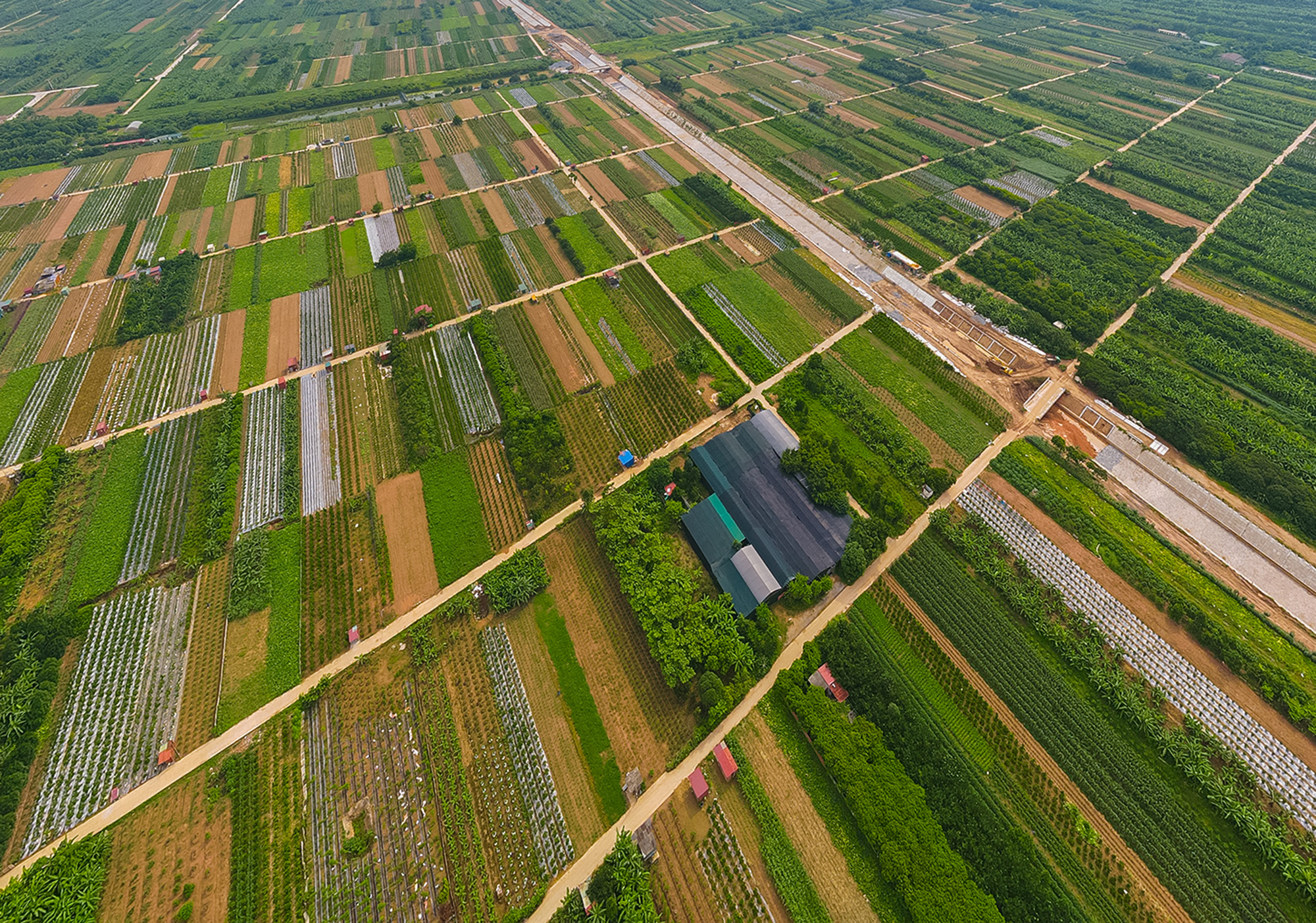 Toàn cảnh khu đô thị 268 ha sắp đấu thầu chọn nhà đầu tư, nằm giữa hai cây cầu dây văng, liền kề khu đô thị nghìn tỷ của Vinhomes- Ảnh 7.