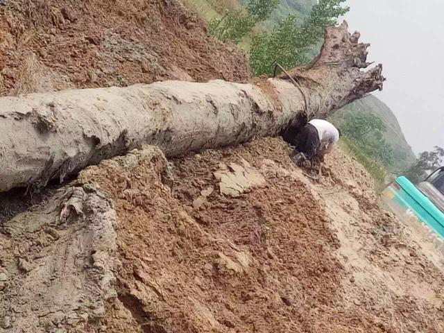 Người đàn ông Người đàn ông