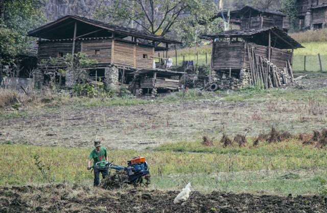 Mỗi tháng biếu mẹ 30 triệu đồng, sau đám tang tôi phát hiện tài khoản của bà trống trơn: Chỉ biết câm lặng trước danh tính người thừa hưởng- Ảnh 1.