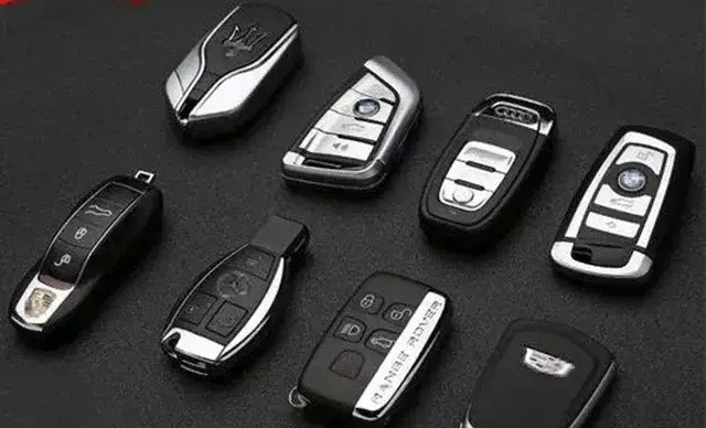 photo-1721633385321 photo-1721633385321