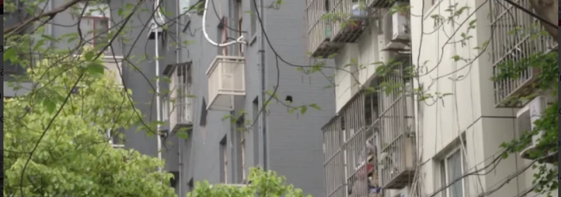 photo-1725014257651 photo-1725014257651