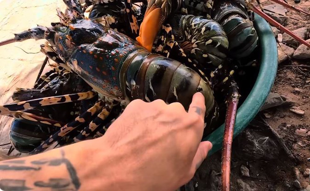 Gã ăn mày” người Hải Dương tiết lộ về nơi chỉ người nghèo mới ăn tôm hùm, ra biển sai ngày có thể rắc rối lớn - Ảnh 2.