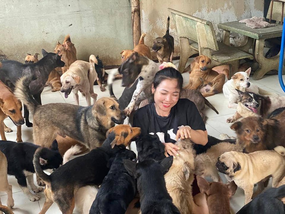 Bận chăm 600 chú chó, mèo, con dâu tuyên bố không sinh con - Ảnh 2.