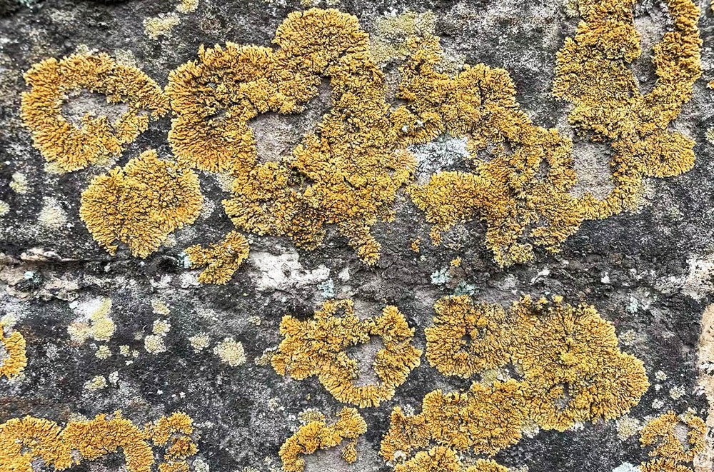 Phát hiện lớp áo giáp khổng lồ đang bảo vệ Vạn Lý Trường Thành: Giới khoa học kinh ngạc - Ảnh 2.