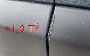 Chỉ hỏng nhẹ cửa trị giá hơn 20 triệu đồng, chủ xe điện được đền tiền cả xe vì bảo hiểm không tìm được linh kiện thay thế