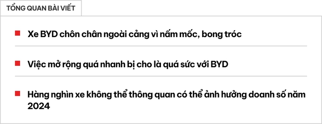 Sai lầm này của hãng xe Trung Quốc muốn vào Việt Nam dễ khiến Elon Musk 'mở cờ trong bụng': Hàng nghìn xe chất đống trong kho vì cong vênh, đầy nấm mốc - Ảnh 1.