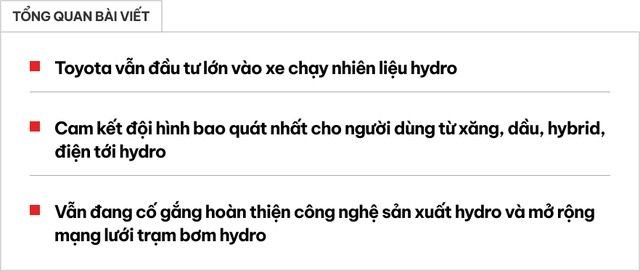 Toyota tất tay với xe chạy nhiên liệu hydro - Ảnh 1. Toyota tất tay với xe chạy nhiên liệu hydro - Ảnh 1.