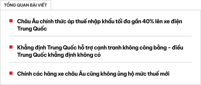 Châu Âu tuyên chiến xe điện với Trung Quốc, các hãng xe 'rén ngang' vì sợ bị 'trả đũa'- Ảnh 1.