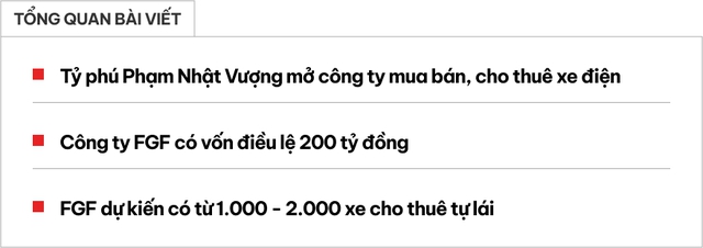 Tỷ phú Phạm Nhật Vượng mở công ty mua bán, cho thuê xe điện: Vốn 200 tỷ đồng, có sẵn cả nghìn xe cho thuê ở nhiều thành phố lớn- Ảnh 1.