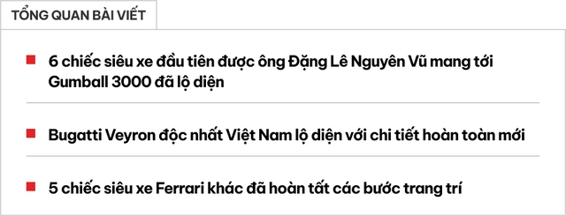 Lộ diện dàn siêu xe của ông Đặng Lê Nguyên Vũ tham gia Gumball 3000: 5 chiếc Ferrari, Bugatti Veyron đã được độ lại- Ảnh 1.